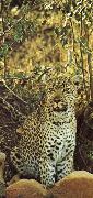 unknow artist Misstanksamt and furiost am guarding leoparden sits loot oil painting picture wholesale